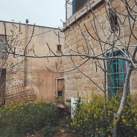 迈季代勒舍姆斯Mandala In Mount מנדלה בחרמון סוויטה公寓 外观 照片